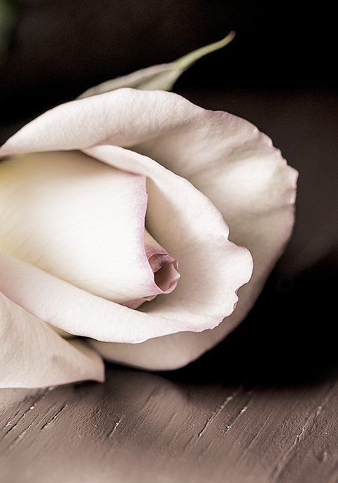 We will organise the service according to your specific wishes