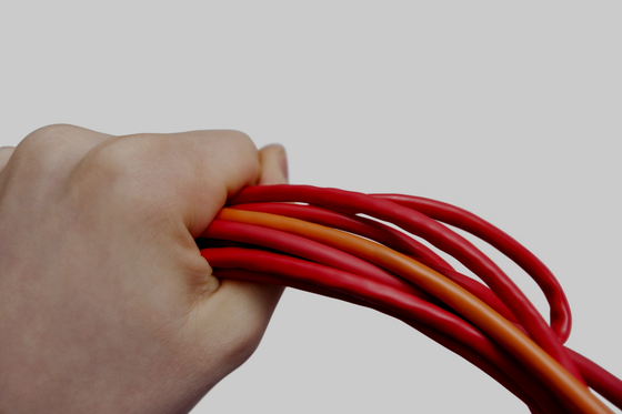 RED21 - secure your local network , internet , wireless and the cloud