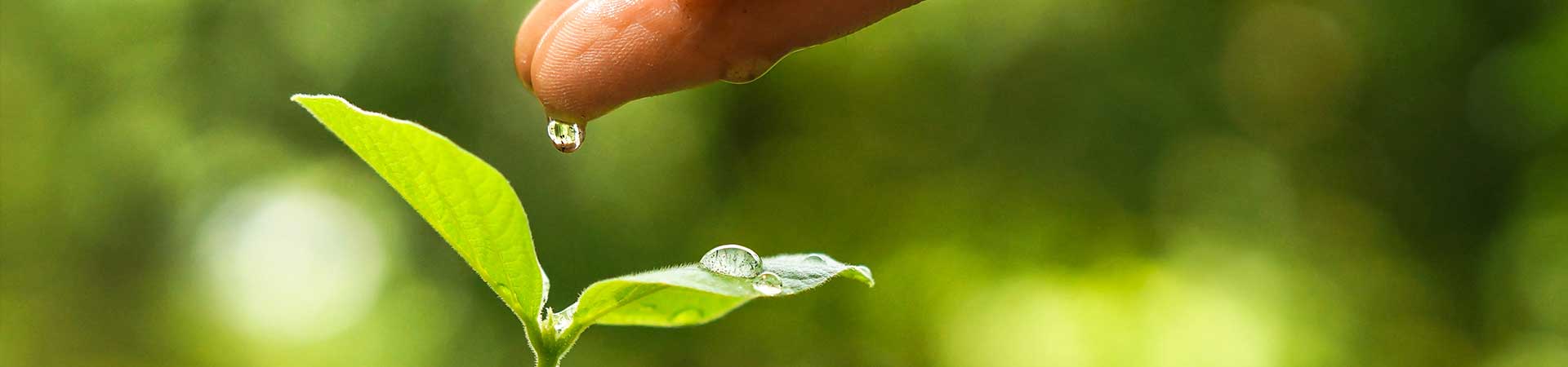 Discover more about acupuncture for pain relief