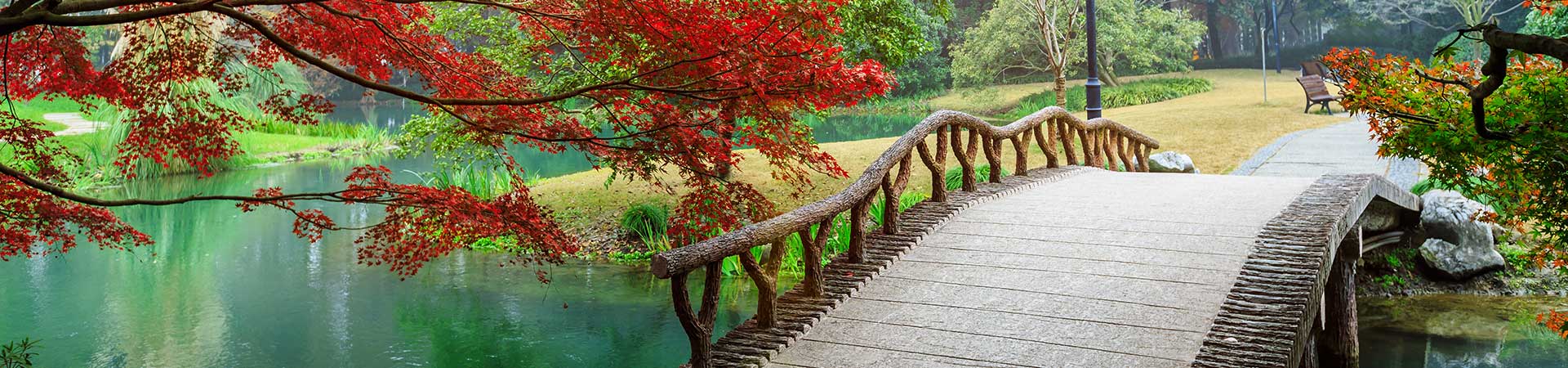 view of a park with a bridge