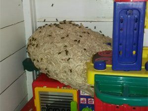 Playhouse pests