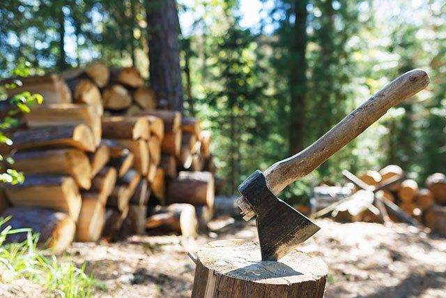Old Axe With Piled Pieces of Firewood — Lake Charles, LA — Daley’s Tree Service Old Axe With Piled Pieces of Firewood — Lake Charles, LA — Daley’s Tree Service