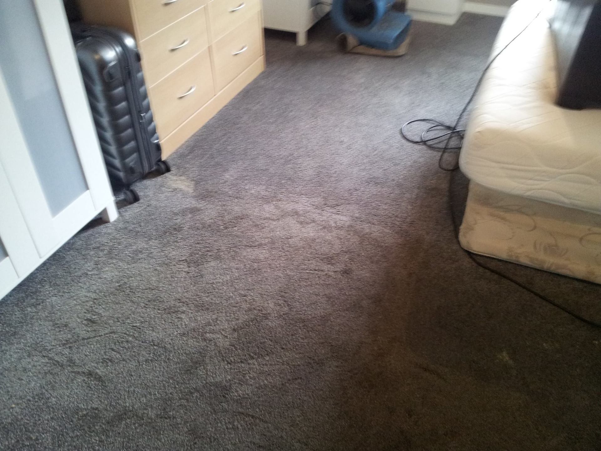 bedroom carpet