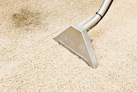 carpet cleaning