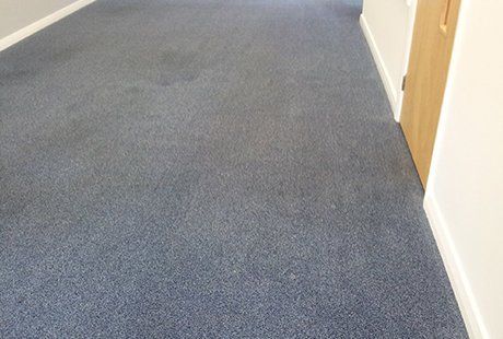 after carpet cleaning