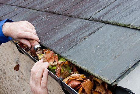 gutter pipe cleaning