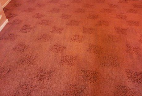 top-class carpet cleaning