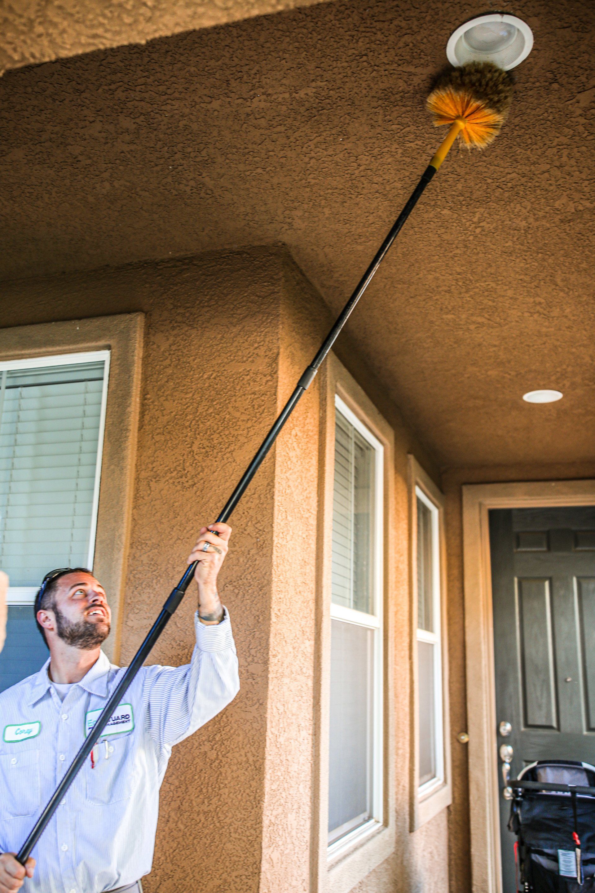 pest cleaning