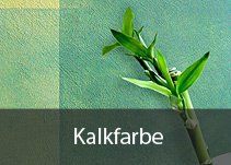 Ein Bild einer Pflanze mit dem Wort Kalkfarbe darauf