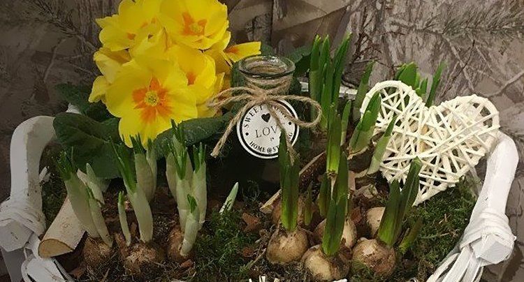 bulbs and yellow flowers