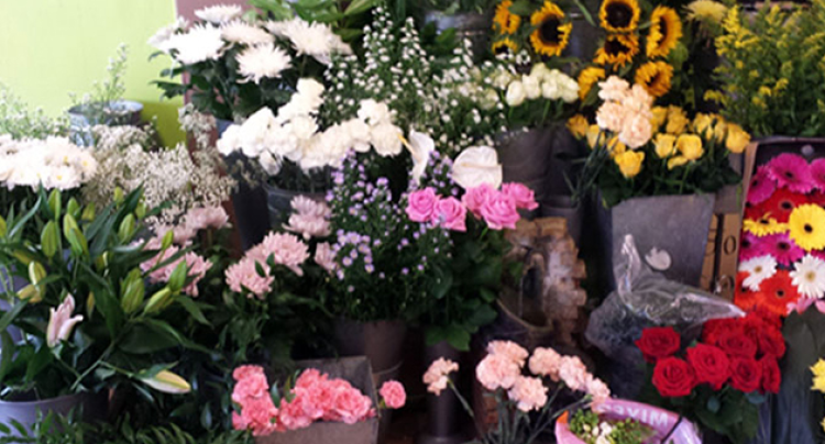 White and pink flowers