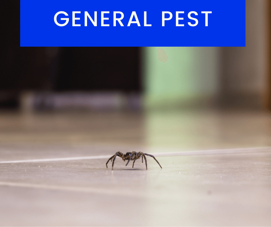 General-Pest-Control