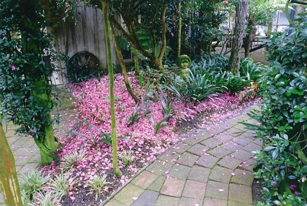 pavers