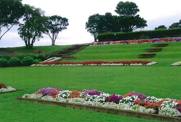 top dressing