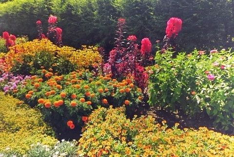 Landscape Gardening