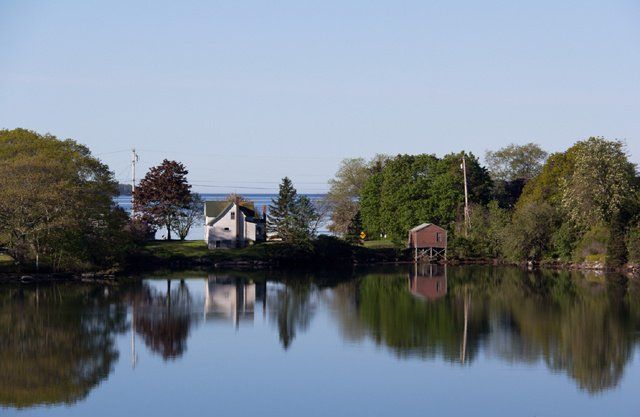 Mill Pond