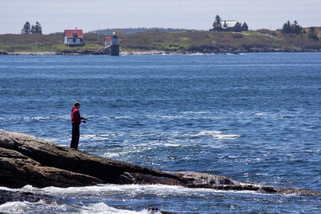 Ocean Point Fishing