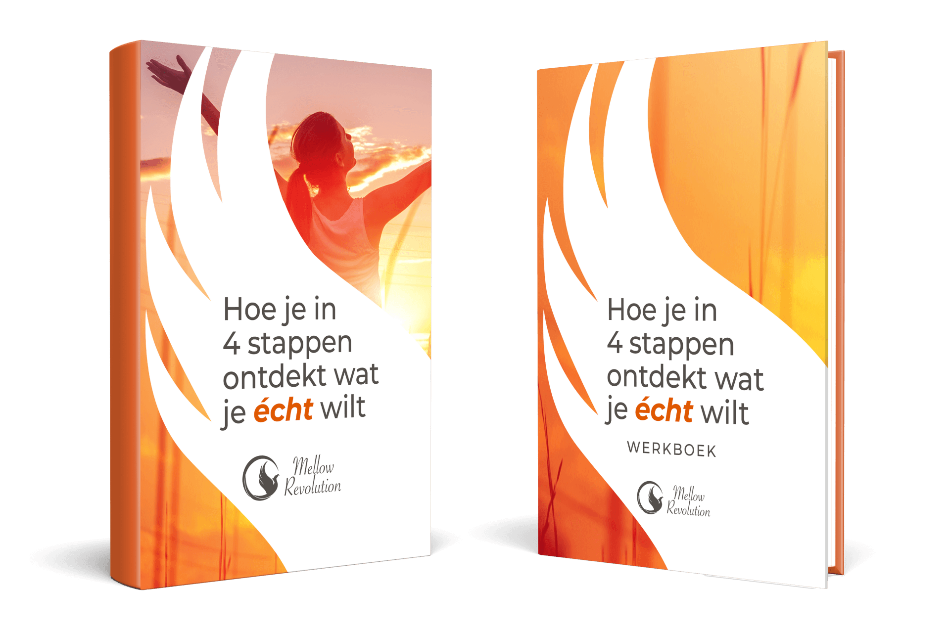 e-book en werkboek