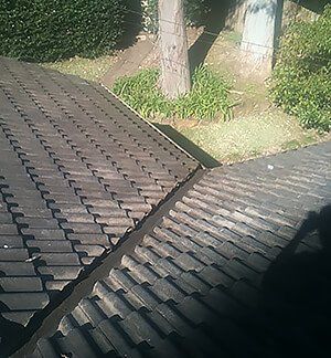 Gutter Cleaning Sydney