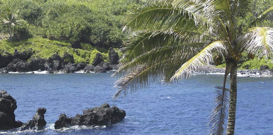 aloha maui real estate cove