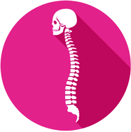 spine logo — chiropractic services in Pittsburgh, PA