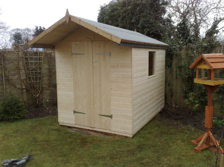 apex shed 11
