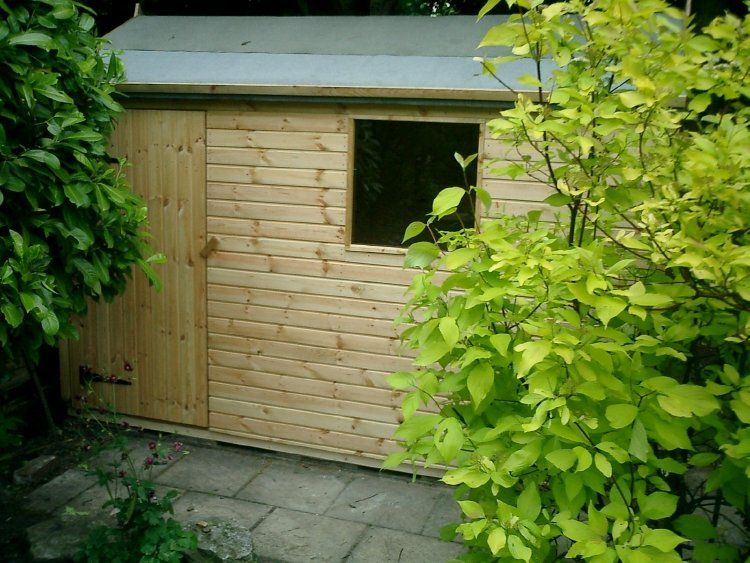 apex shed 14