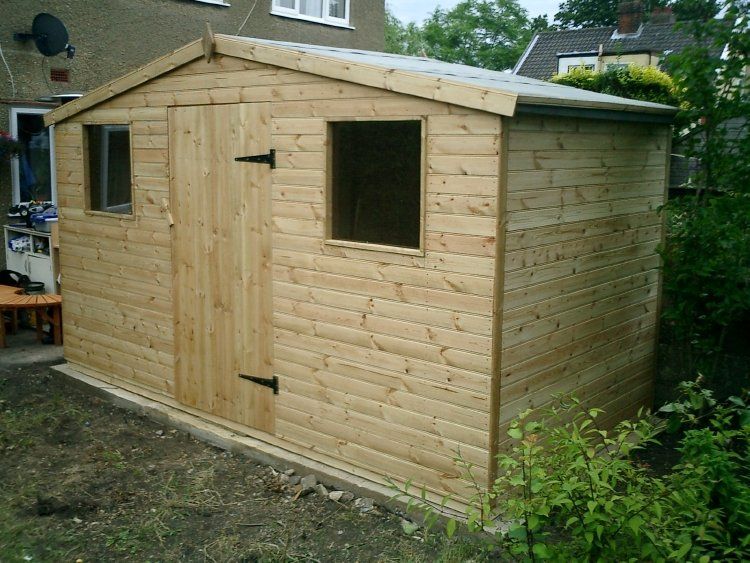 apex shed 31