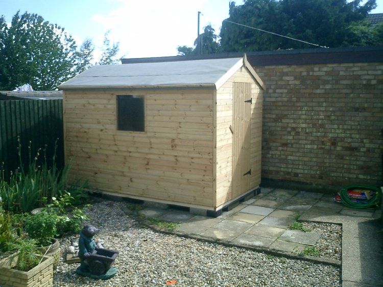 apex shed 33