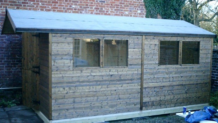 apex shed 55