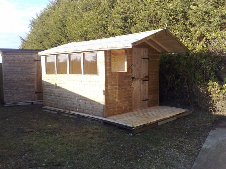 apex shed 8