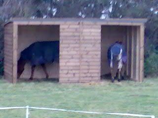 field shelter 4