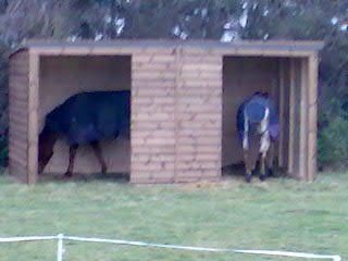 field shelter 16x8 8ft high