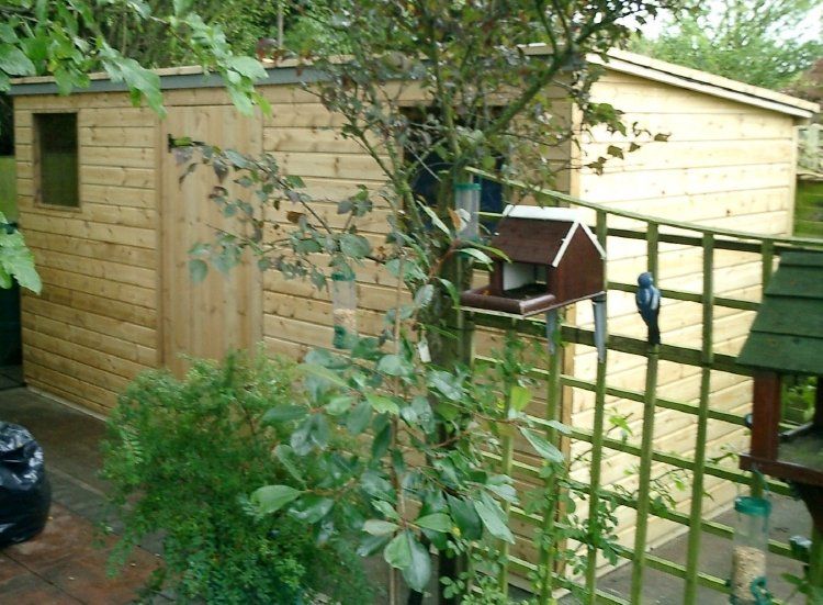 pent roof shed 38