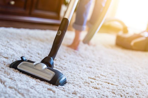 Woman Using a Vacuum Cleaner Cleaning the Carpet – Cheyenne, WY – Little Joe Company