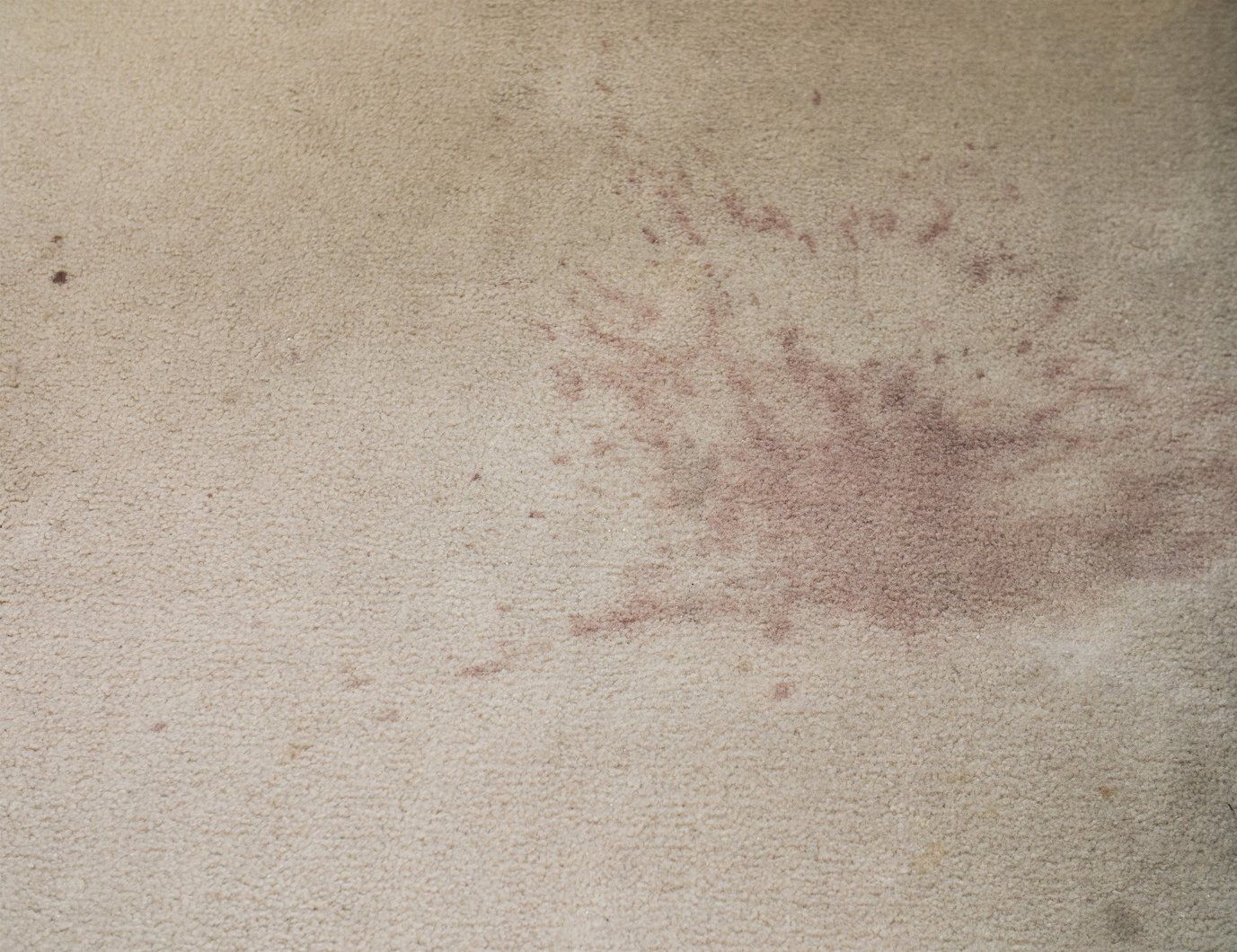 Cheyenne wy carpet cleaning