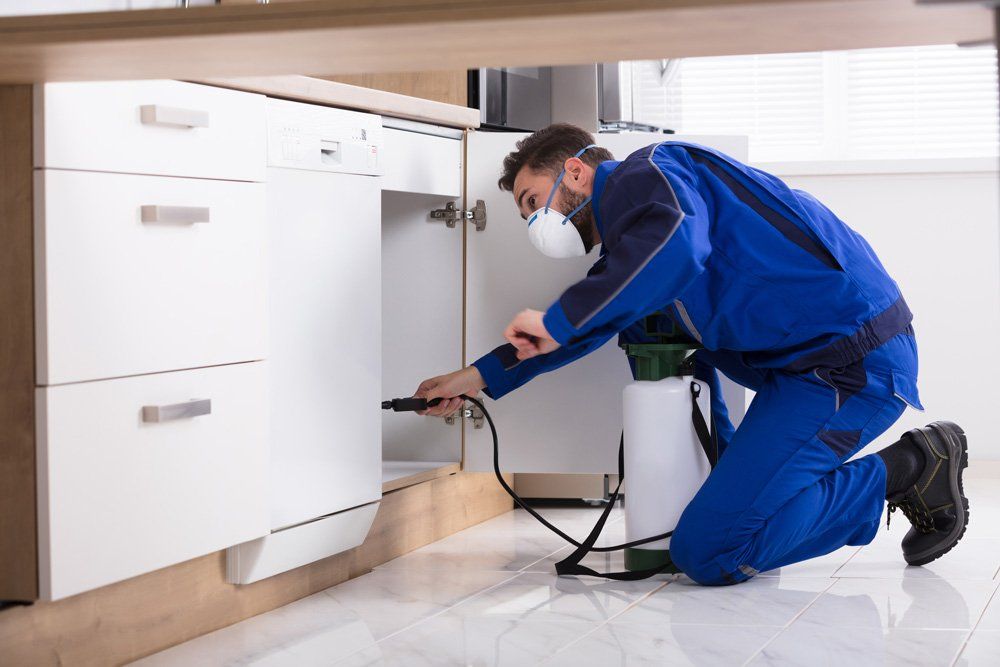 Spraying Pesticide on Kitchen — Bloomington, IN — Kelley's Termite & Pest Control Spraying Pesticide on Kitchen — Bloomington, IN — Kelley's Termite & Pest Control