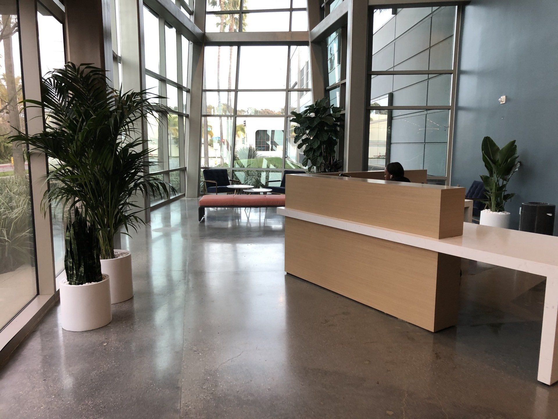 Modern office lobby with reception desk, potted plants, and large windows.
