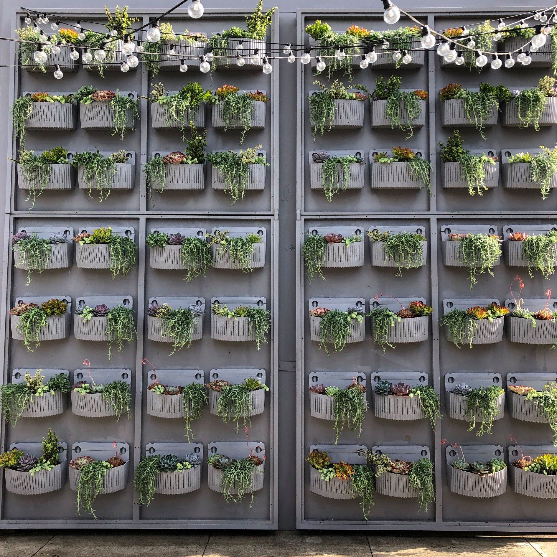 Vertical garden with rectangular planters, lush greenery, and string lights against a gray metal frame.