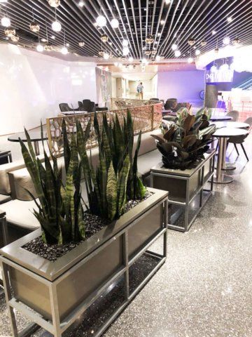 Modern lounge area with potted plants, tables, and seating. Interior with bright lighting and terrazzo floor.