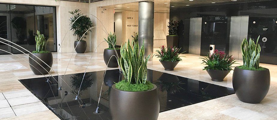 An indoor lobby with plants in pots and a fountain.