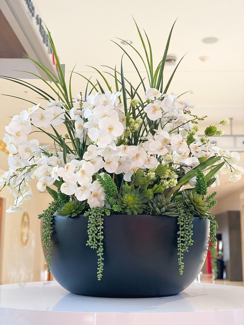 Black bowl with white orchids, succulents, and greenery.