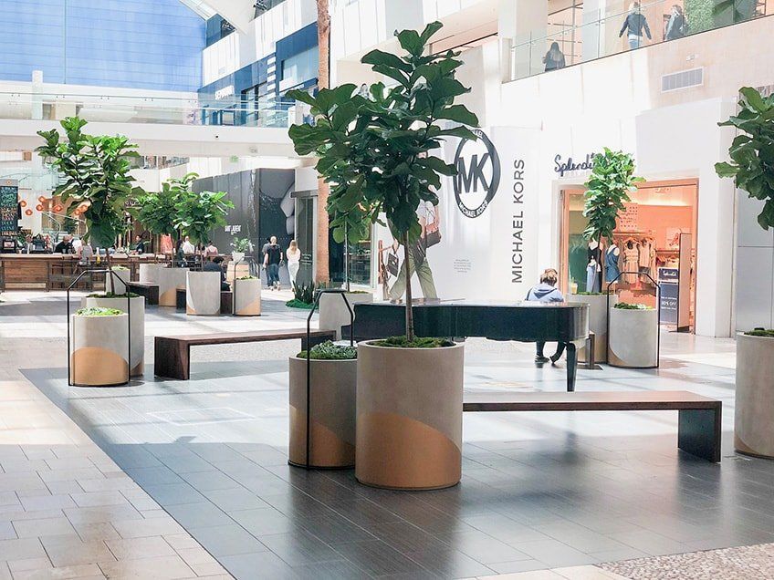 Indoor mall with trees in planters, benches, and storefronts, natural light.