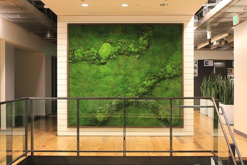 Green moss wall art in an office hallway.
