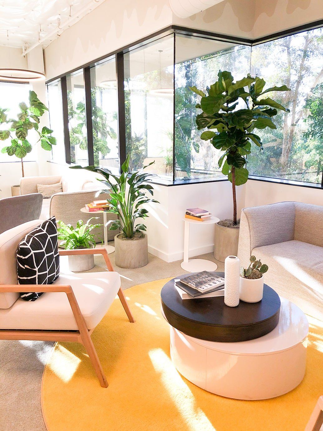 Bright, modern living area with yellow rug, plants, and large windows overlooking trees.
