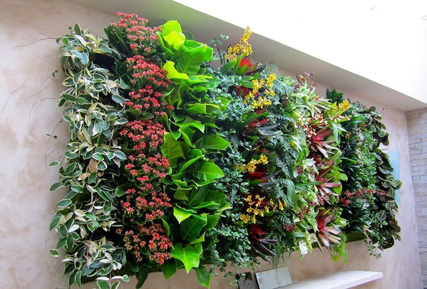 Living wall of various green, red, and yellow plants mounted on a beige wall.