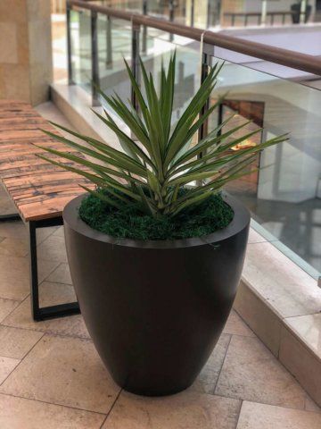 A tall, dark gray planter with a green spiky plant and green moss sits near a wooden bench in a mall.