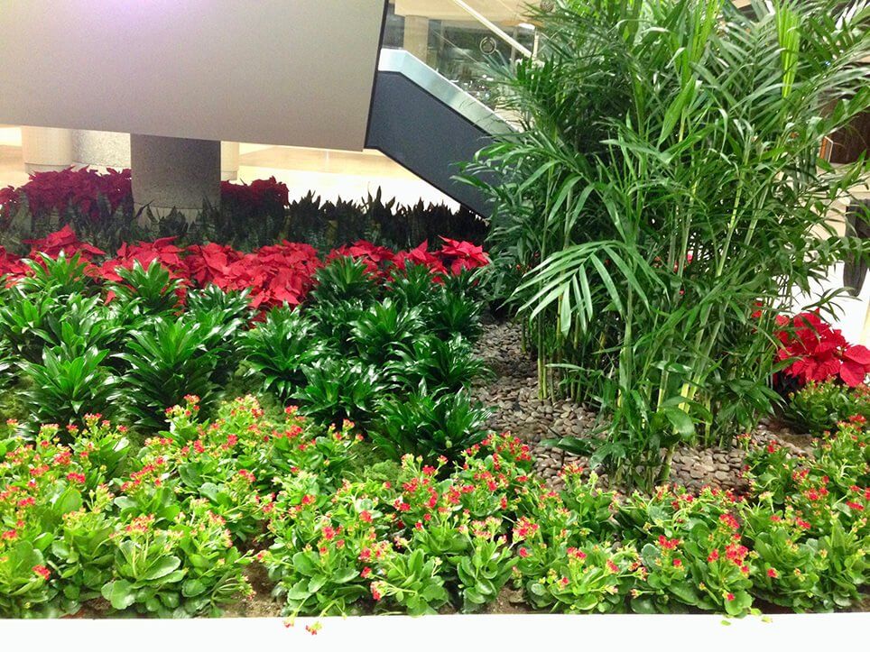Indoor garden with red poinsettias, green plants, and a palm tree under an escalator.