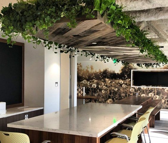 Office interior with a long table, green vines on the ceiling, and a floral wall mural.