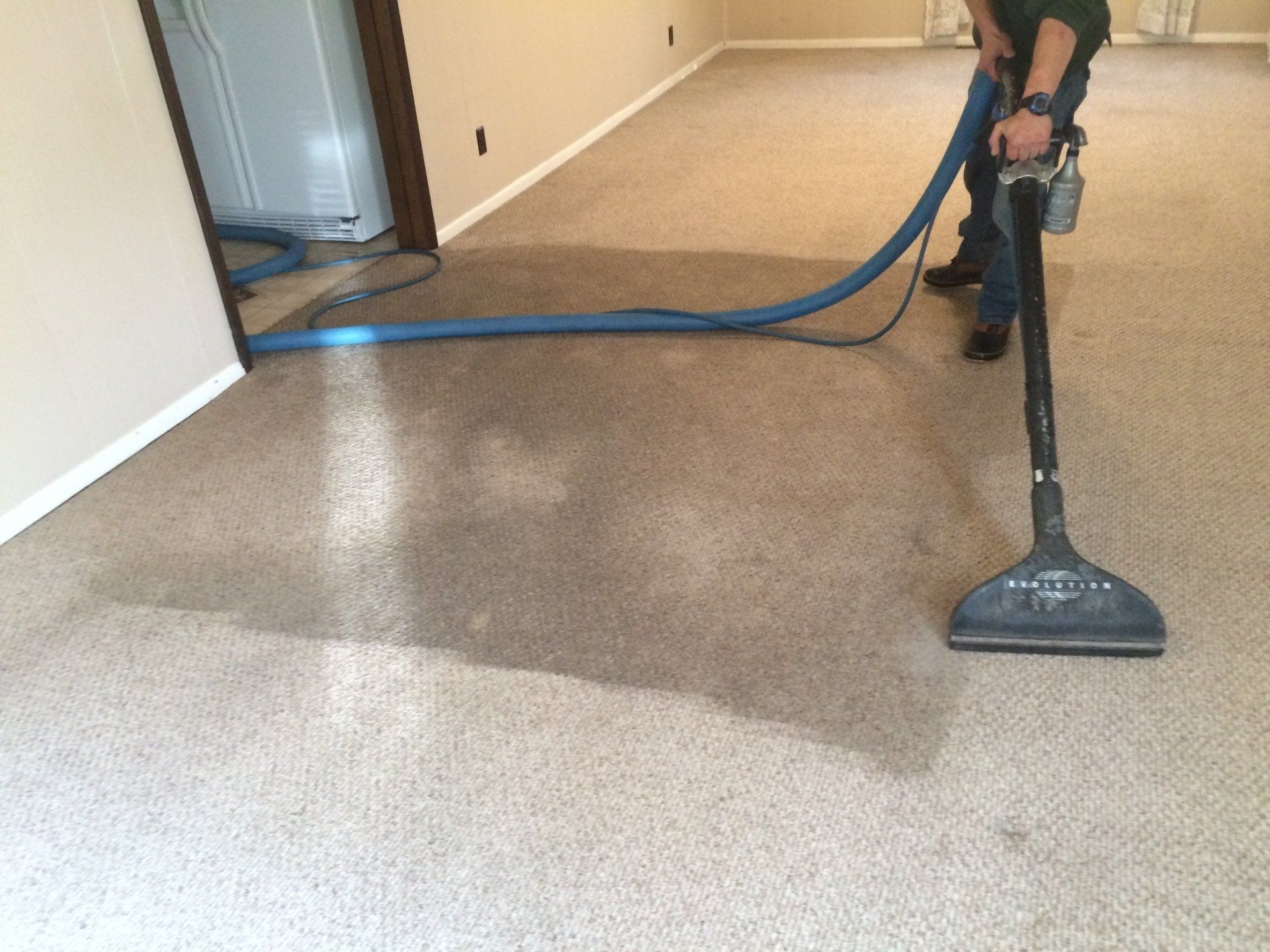 Carpet Services in Canon City CO